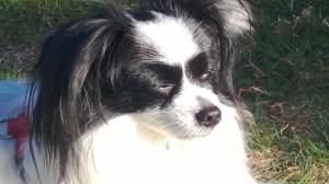 I like sitting in the sun