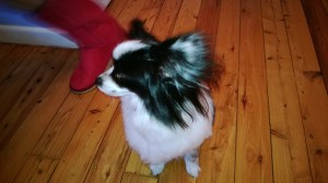 My hair moves beautifully in the breeze. Just like a shampoo ad.