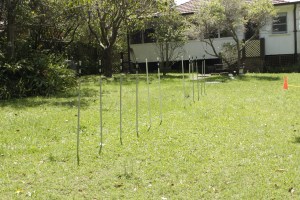 Video coming - Jaxon's 6 & 6 weaves