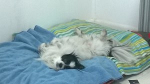 Does this count as a stretch, Mum?