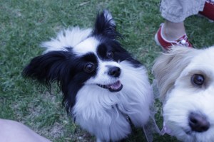 why don't you take my picture too?