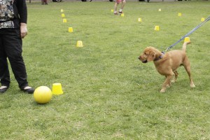 But I could just get that ball...