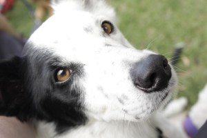 I'm really the most handsomest one, aren't I...?