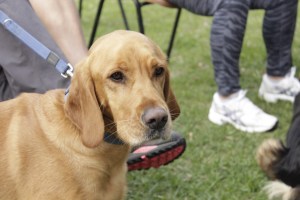 Just chillin', waiting for the food to come my way...