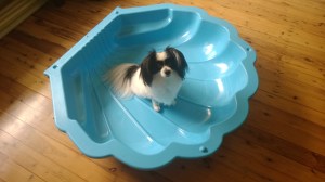 Where's the water Mum??