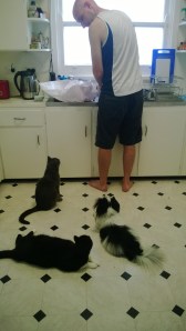 Surely there'll be some for us...?