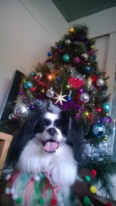 Happy Holidays Everyone!