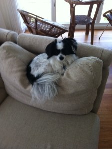 Sleep on lots of cushions