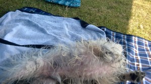 Swimming was fun Mum!