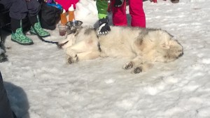 A bit to the left...