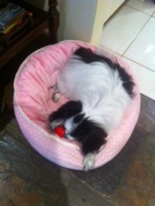 First port of call, steal my host's bed...