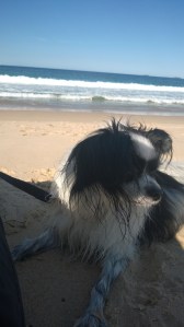 Recovery session at the beach!