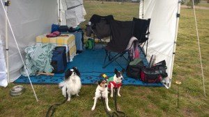 three little muskateers